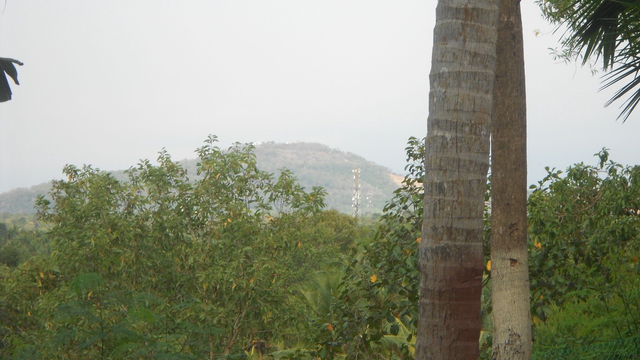 Photo of Others in Thiruvananthapuram