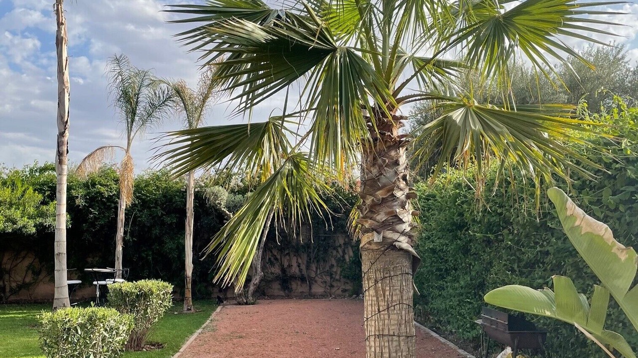 Photo of Outdoor in Annakhil