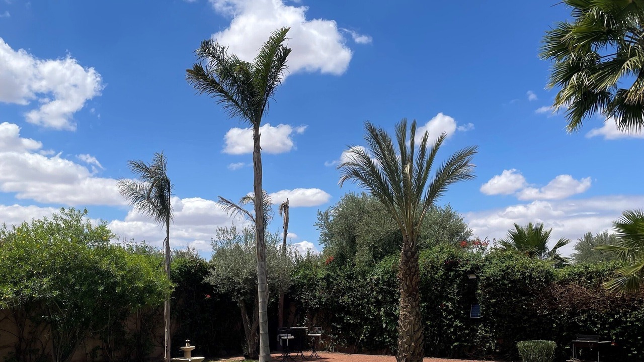 Photo of Outdoor in Annakhil