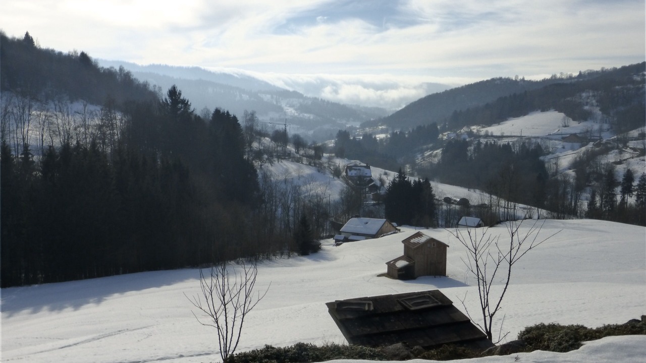 Photo of Others in Fresse-sur-Moselle