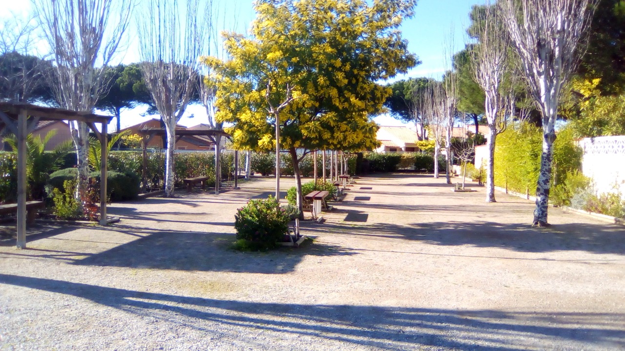 Photo of Outdoor in Saint-Cyprien Plage