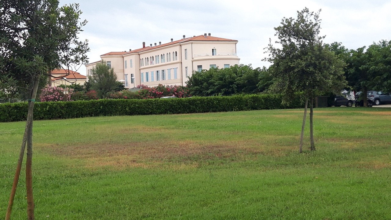 Photo of Outdoor in Calambrone