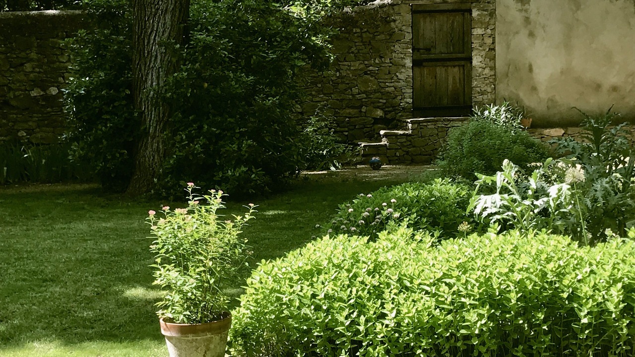 Photo of Outdoor in Montlaur