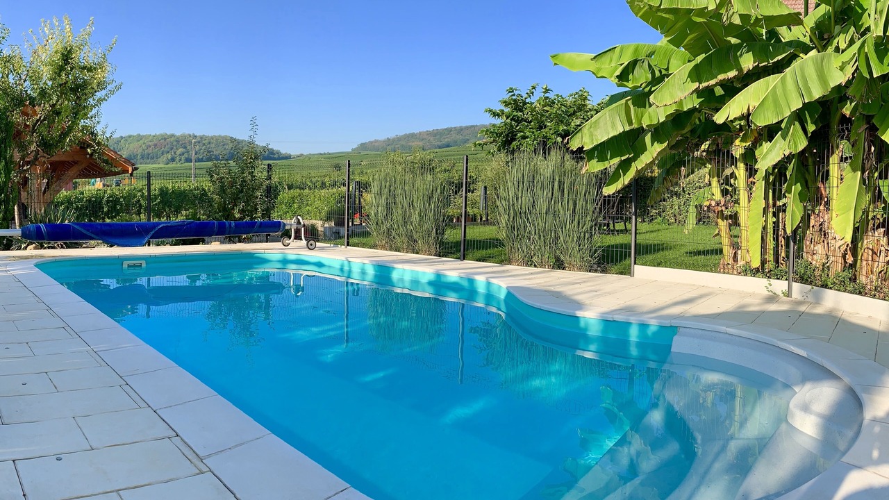 Photo of Outdoor in Pfaffenheim