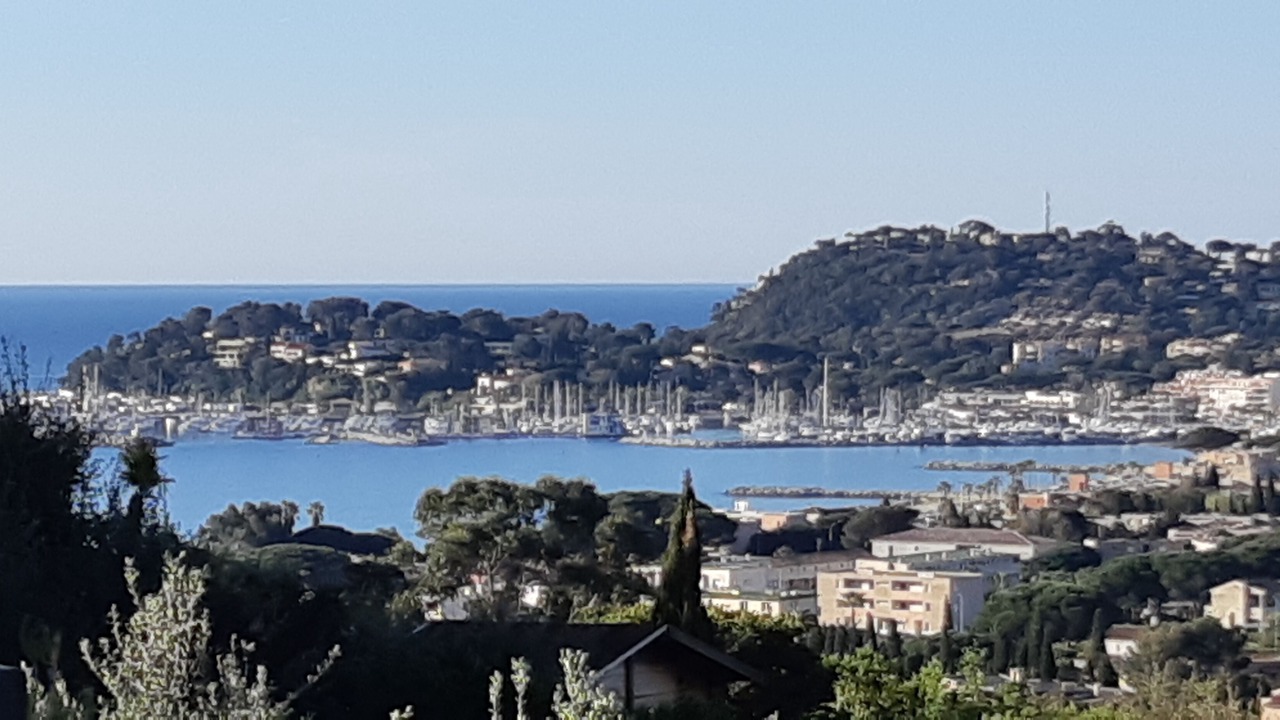 Photo of Others in Cavaliere
