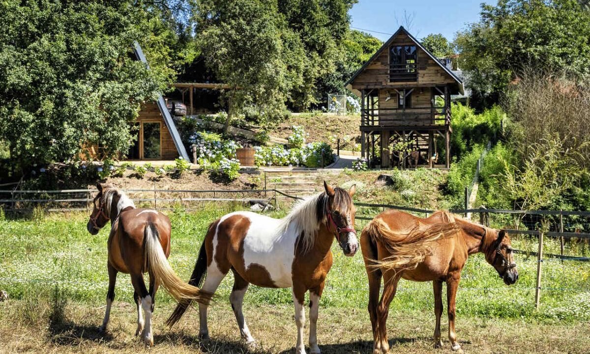 Photo of Outdoor in Cacia