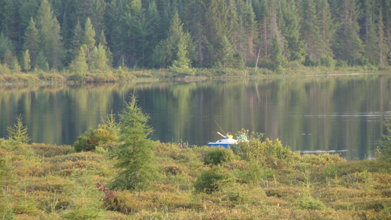 Photo of Outdoor in Algonquin Highlands