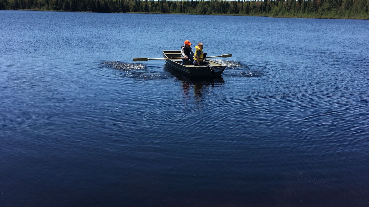 Photo of Others in Algonquin Highlands