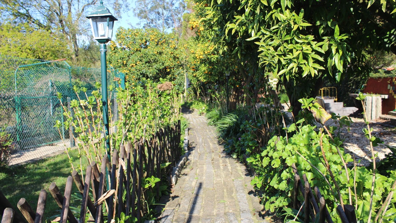 Photo of Outdoor in Cacia