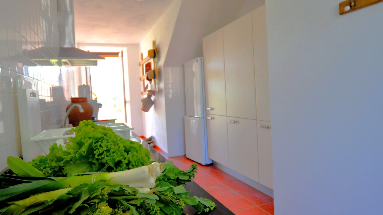 Photo of Kitchen in Vila Nogueira de Azeitao