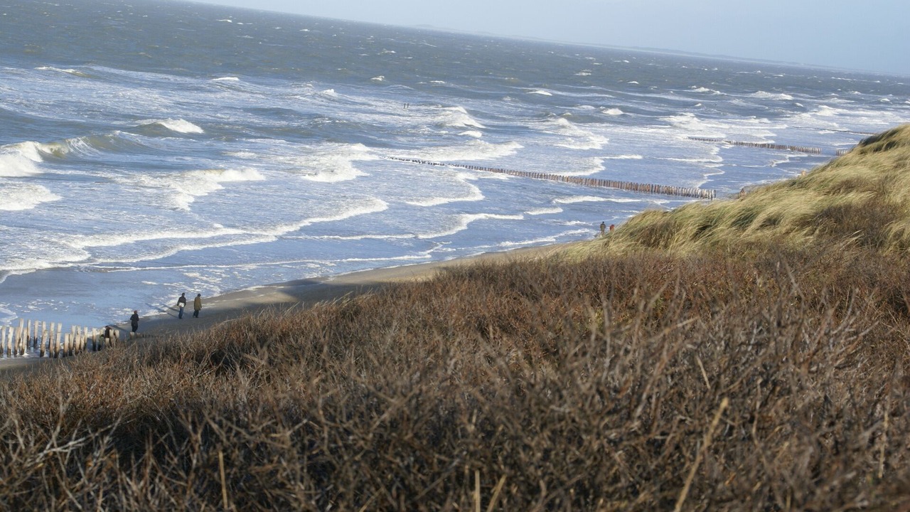 Photo of Others in Oostkapelle