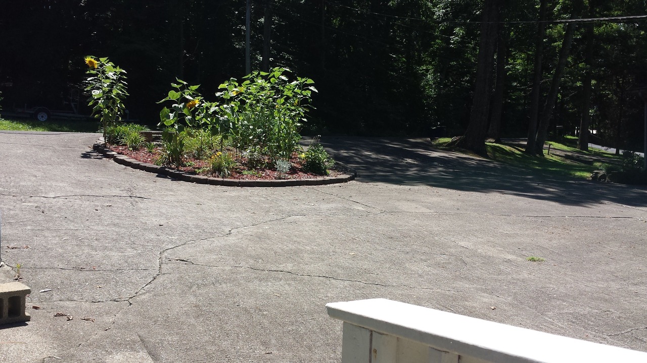 Photo of Others in Penrod