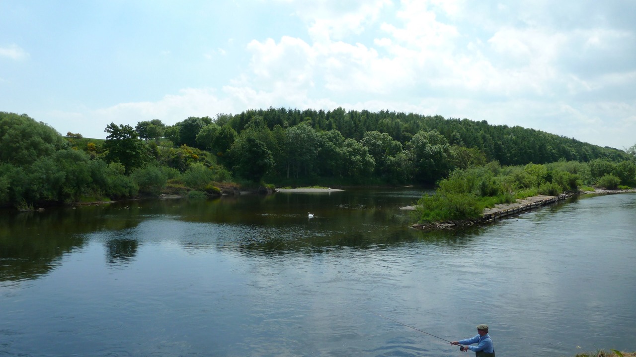 Photo of Others in Coldstream