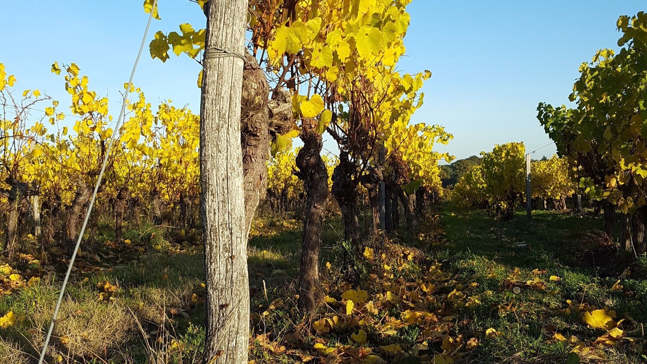 Photo of Outdoor in Bourre