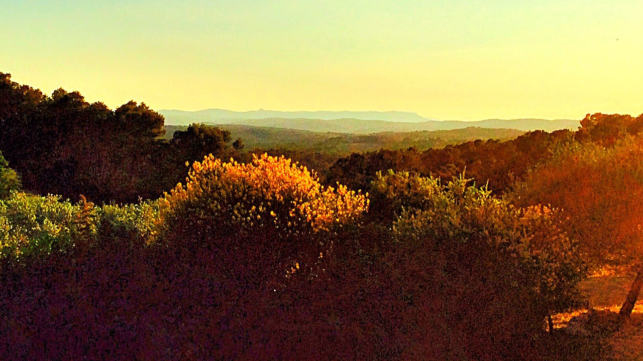 Photo of Others in Entrecasteaux