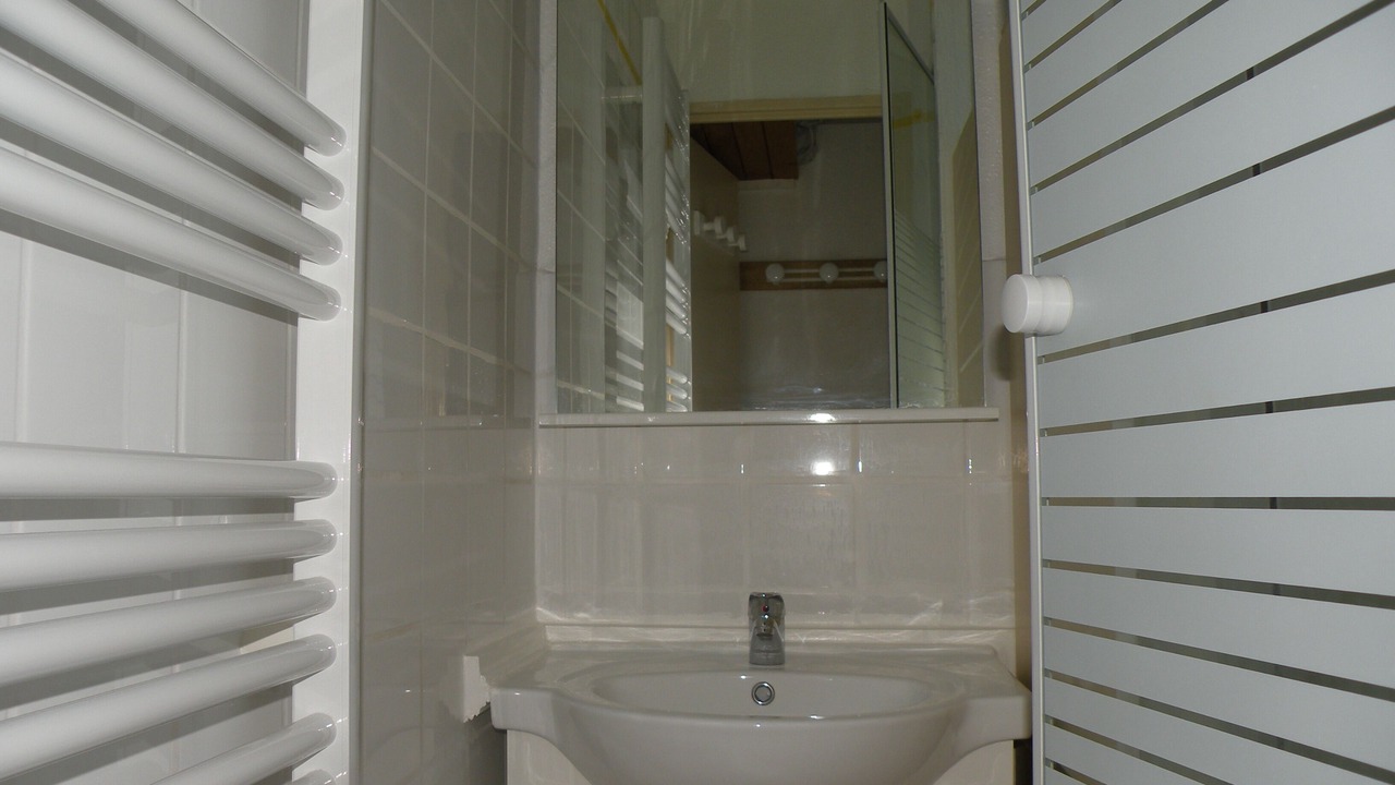 Photo of Bathroom in Les Deux Alpes