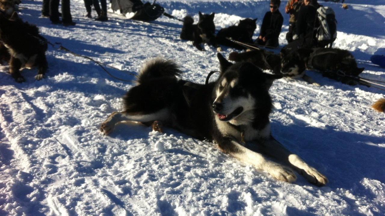 Photo of Others in Plagne Villages