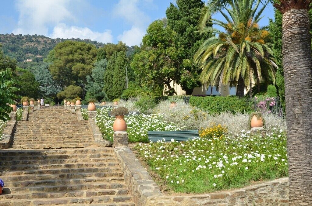 Photo of Outdoor in Le Rayol