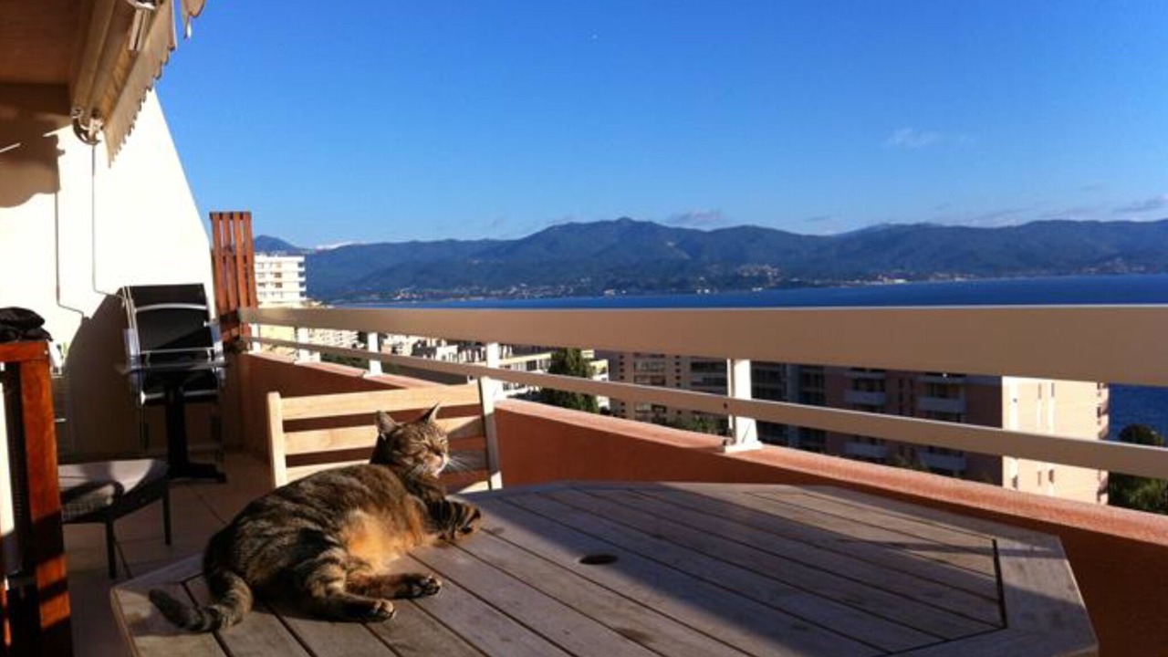 Photo of Outdoor in Ajaccio