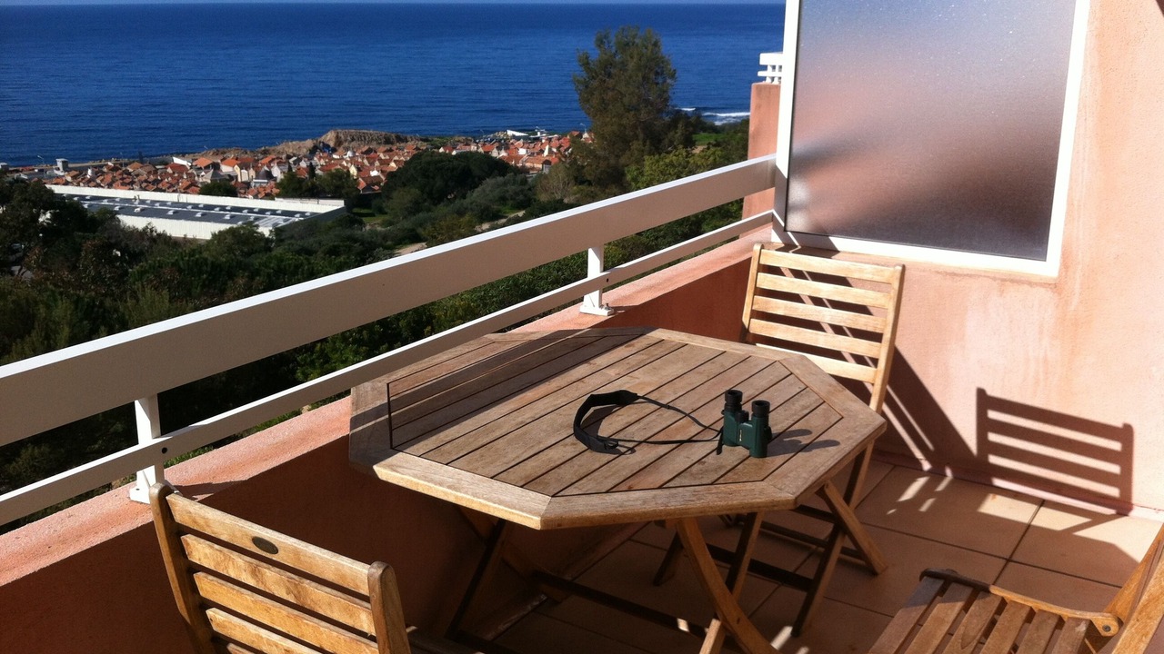 Photo of Outdoor in Ajaccio