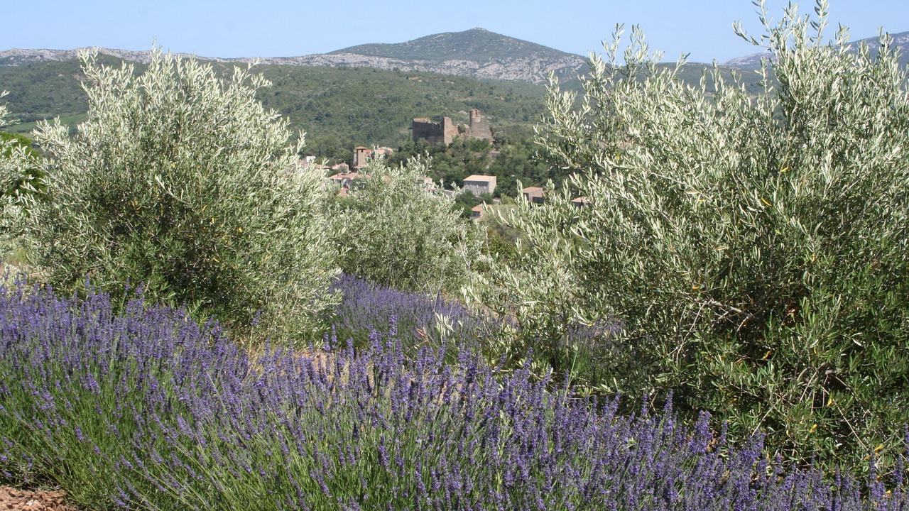 Photo of Outdoor in Durban-Corbieres