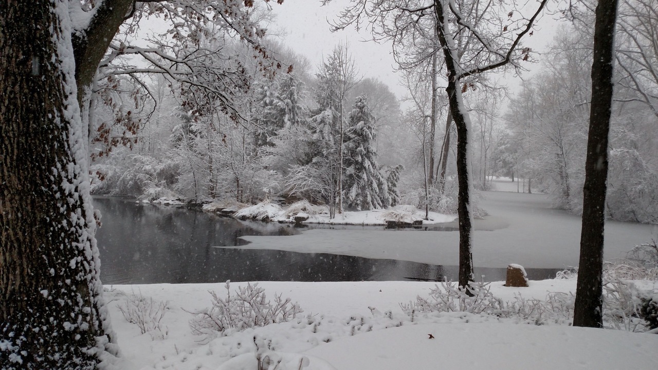 Photo of Others in White Lake