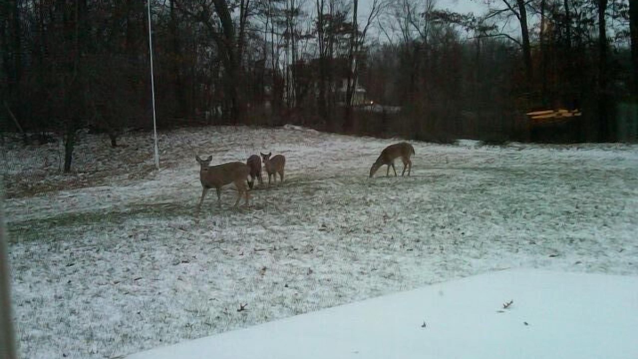 Photo of Others in White Lake