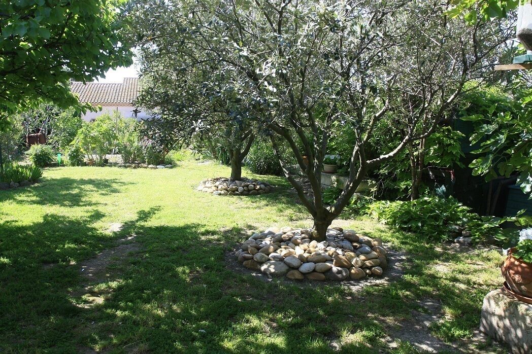 Photo of Outdoor in Chateauneuf-de-Gadagne