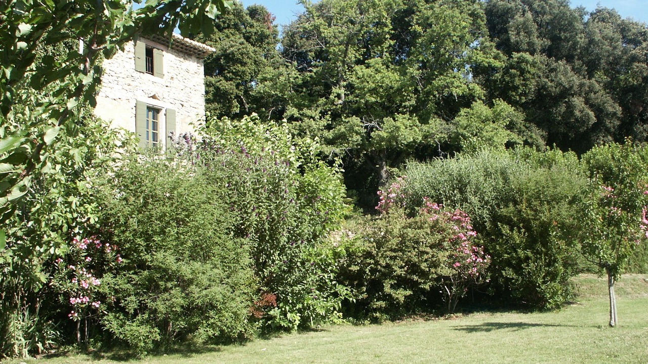 Photo of Outdoor in Saint-Nazaire