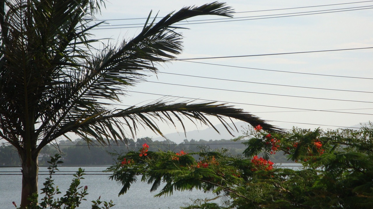 Photo of Outdoor in Ibiraquera
