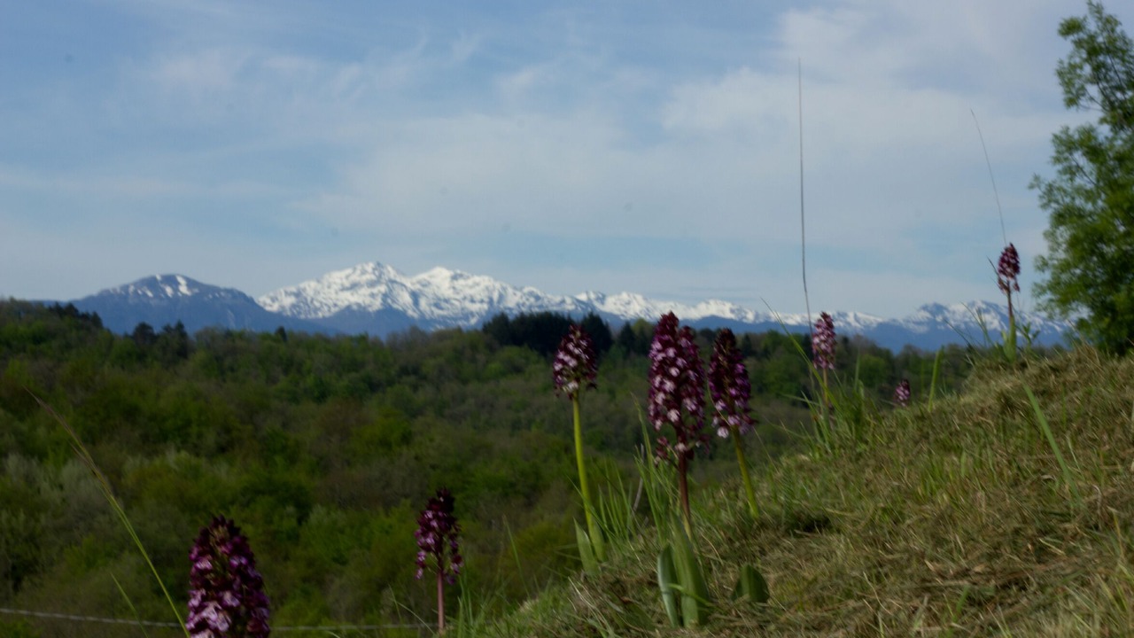 Photo of Outdoor in Sonnac-sur-l'Hers