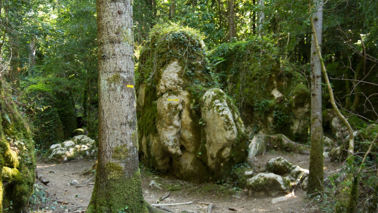 Photo of Outdoor in Sonnac-sur-l'Hers