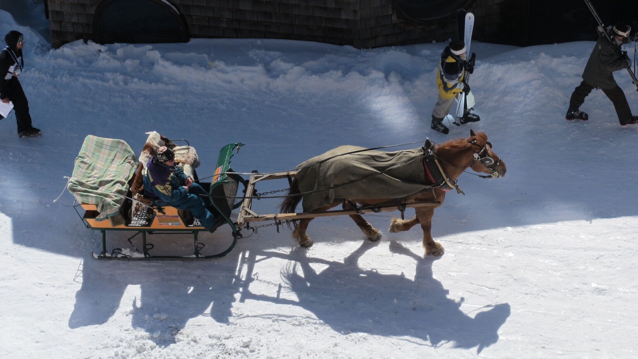 Photo of Others in Avoriaz