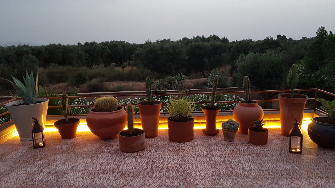 Photo of Outdoor in Sidi Abdallah Ghiat