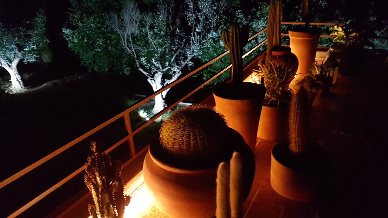 Photo of Outdoor in Sidi Abdallah Ghiat
