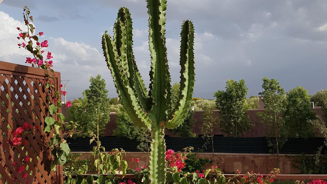 Photo of Outdoor in Sidi Abdallah Ghiat