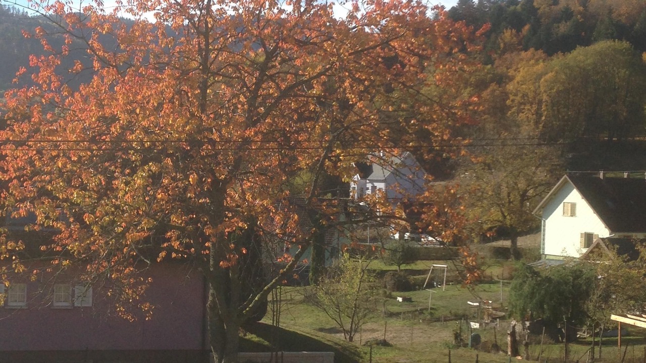 Photo of Outdoor in Oberbruck