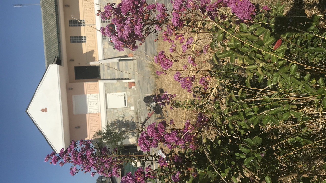 Photo of Outdoor in Trilofos