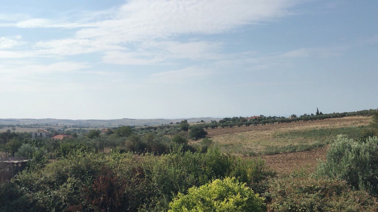 Photo of Outdoor in Trilofos