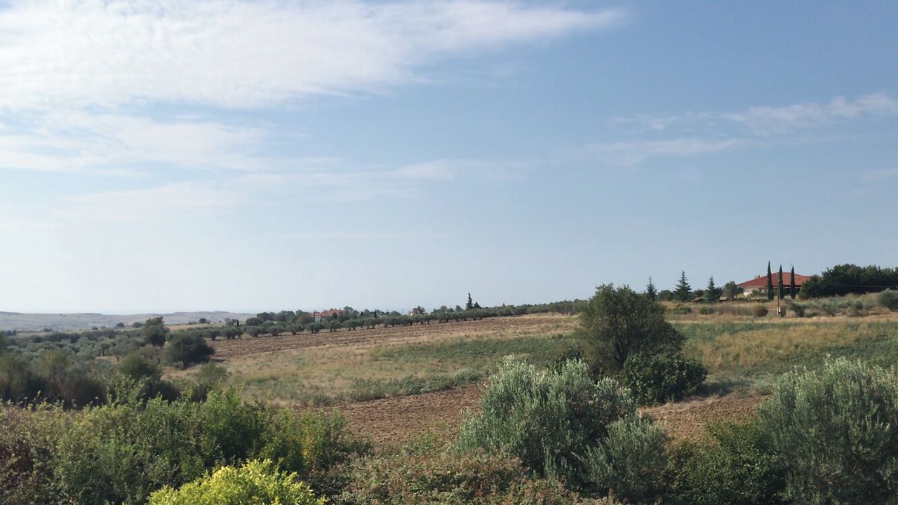 Photo of Outdoor in Trilofos