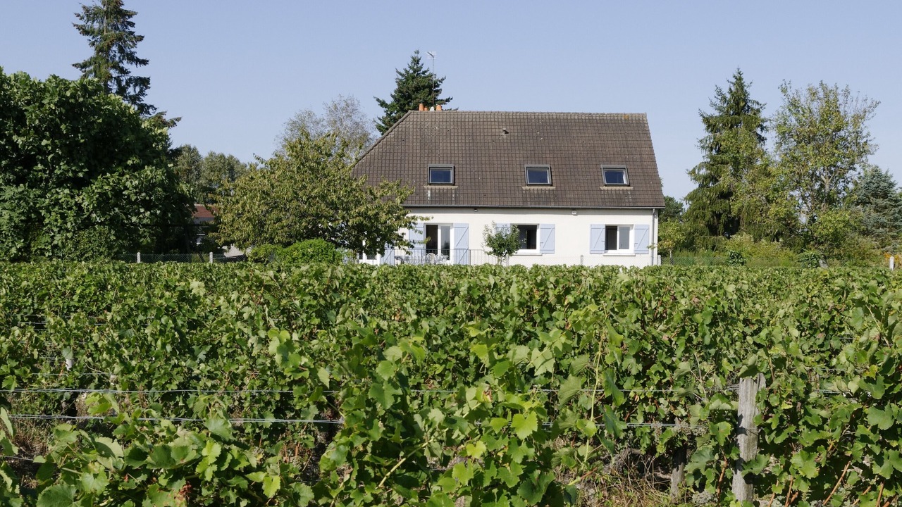 Photo of Outdoor in Montlouis-sur-Loire