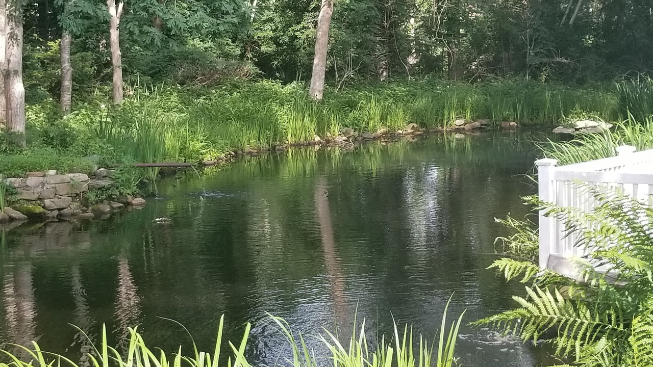 Photo of Outdoor in East Hampton North