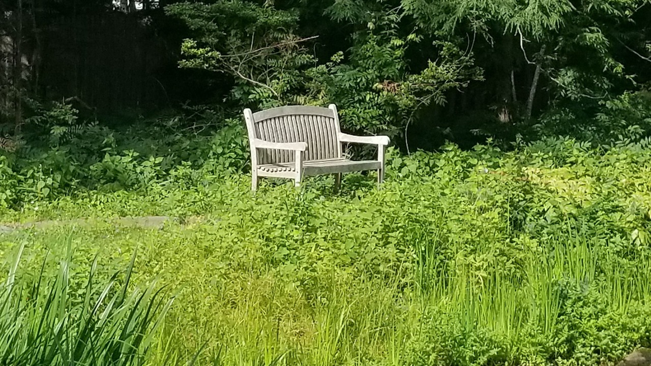 Photo of Outdoor in East Hampton North