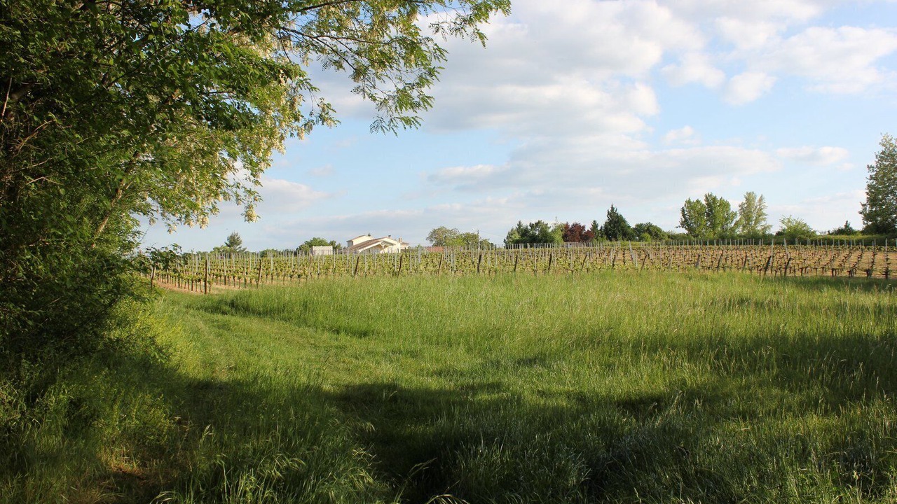 Photo of Outdoor in Saint-Germain-Du-Puch
