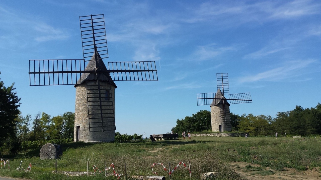 Photo of Others in Puisseguin