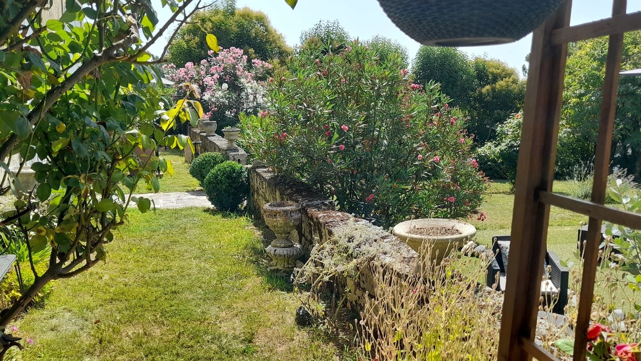 Photo of Outdoor in Puisseguin