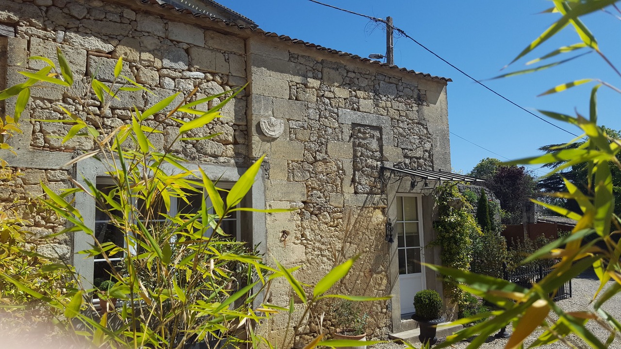 Photo of Outdoor in Puisseguin