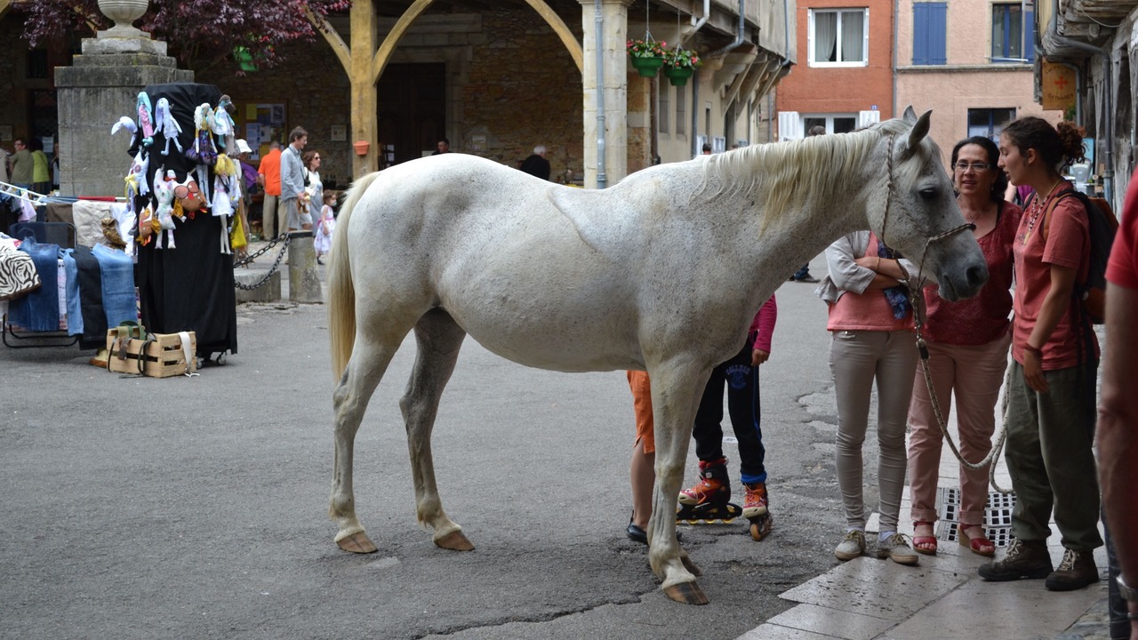 Photo of Others in Manses