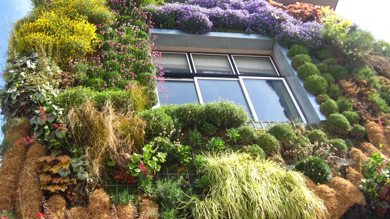 Photo of Outdoor in Manses