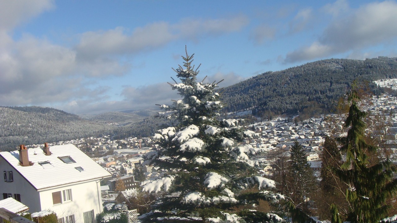 Photo of Patio Balcony in Gerardmer